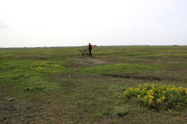 2026 06 29 Masek Lendulet 1. kep